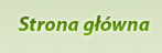 Strona główna